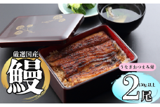 【冷蔵配達】明治37年創業「本多」国産鰻蒲焼2尾（150g以上×2）・うなぎおつまみ付(Ab-003)