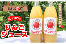 信州１００％リンゴジュース（1L瓶×6本）(At-002)