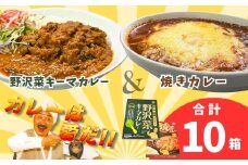 あると便利なレトルトカレー★「おうちで焼きカレー」・「信州味噌入り野沢菜キーマカレー」各5箱合計10箱セット(Ai-002)