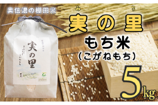 【令和6年産】長野県産 もち米 こがねもち『奥信濃の棚田米 実の里 5kg』 (6-94A)