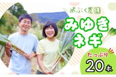 【先行予約】白ねぎ みゆきネギ ２０本【期間限定】(7-A11)