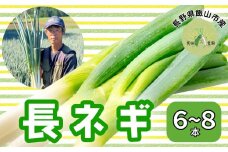 【先行予約】「飯山産 長ネギ 約６～８本【期間限定】(7-A10)