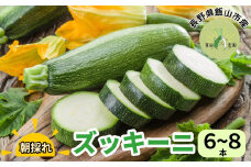 朝採れ!!新鮮ズッキーニ（約6～8本）【期間限定】(７-A9)