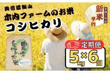 【先行予約】【定期便】<令和７年産 新米>  奥信濃飯山～木内ファームのお米～ コシヒカリ 精米 5kg×6回(7-15A)
