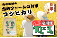 【先行予約】【定期便】<令和７年産 新米>  奥信濃飯山～木内ファームのお米～ コシヒカリ 精米 10kg×3回(7-16A)