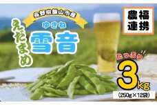 【先行予約】信州飯山なべくら高原産の枝豆「雪音（ゆきね）」　3kg(250gx12袋) (7-A12)
