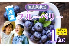 【先行予約】栽培期間中 無農薬 完熟ブルーベリー姫<冷凍>１kg(2025年7月より発送） (7-A16)