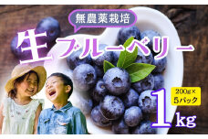 【先行予約】栽培期間中 無農薬 完熟ブルーベリー姫<生>１kg(2025年7月より発送） (7-A15)