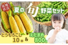 【期間限定】木内ファーム 夏の旬野菜（とうもろこし・枝豆）セット (7-A14)