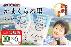 【先行予約】【定期便】<令和７年産 新米> 特別栽培米 「かまくらの里コシヒカリ」 精米 10kg×6回(7-5A)