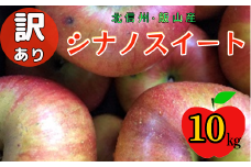 【先行予約】【訳あり】シナノスイート【約10kg(22〜40玉)】規格外(7-A27-3)