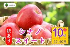 【先行予約】【訳あり】シナノスイート【約10kg(22〜40玉)】規格外(7-A27-3)