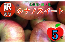 【先行予約】【訳あり】シナノスイート【約5kg(11〜20玉)】規格外(7-A27-2)