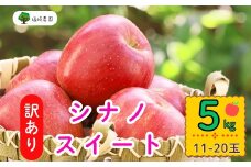 【先行予約】【訳あり】シナノスイート【約5kg(11〜20玉)】規格外(7-A27-2)
