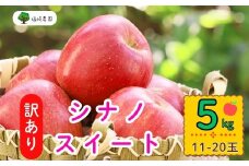 【先行予約】【訳あり】シナノスイート【約5kg(11〜20玉)】規格外(7-A27-2)