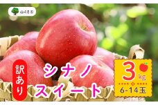 【先行予約】【訳あり】シナノスイート【約3kg(6〜14玉)】規格外(7-A27-1)