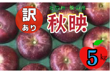 【先行予約】【訳あり】秋映（あきばえ）【約5kg(11〜20玉)】 規格外 (7-A26-2)