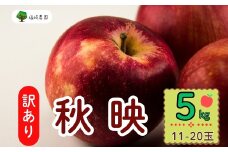 【先行予約】【訳あり】秋映（あきばえ）【約5kg(11〜20玉)】 規格外 (7-A26-2)