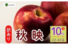 【先行予約】【訳あり】秋映（あきばえ）【約10kg(22〜40玉)】規格外 (7-A26-3)