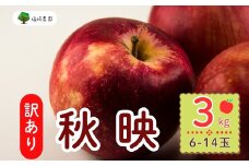 【先行予約】【訳あり】秋映（あきばえ）【約3kg(6〜14玉)】規格外 (7-A26-1)
