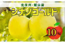 【先行予約】シナノゴールド【約10ｋｇ(24〜36玉)】(7-A25-3)