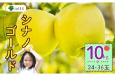 【先行予約】シナノゴールド【約10kg(24〜36玉)】(7-A25-3)