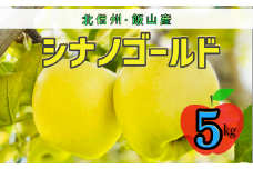 【先行予約】シナノゴールド【約5ｋｇ(12〜18玉)】(7-A25-2)