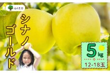 【先行予約】シナノゴールド【約5kg(12〜18玉)】(7-A25-2)