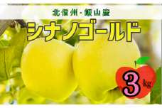 【先行予約】シナノゴールド【約3ｋｇ(6〜10玉)】(7-A25-1)