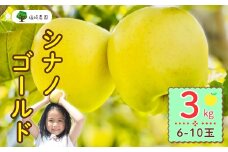 【先行予約】シナノゴールド【約3kg(6〜10玉)】(7-A25-1)