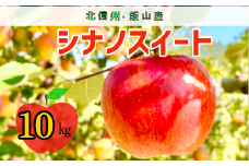 【先行予約】シナノスイート【約10ｋｇ(24〜36玉)】 (7-A24-3)
