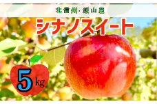 【先行予約】シナノスイート【約5ｋｇ(12〜18玉)】 (7-A24-2)