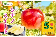 【先行予約】シナノスイート【約5kg(12〜18玉)】 (7-A24-2)