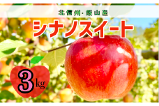 【先行予約】シナノスイート【約3ｋｇ(6〜10玉)】 (7-A24-1)