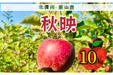 【先行予約】秋映（あきばえ）【約10ｋｇ(24〜36玉)】(7-A23-3)