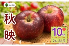 【先行予約】秋映（あきばえ）【約10kg(24〜36玉)】(7-A23-3)