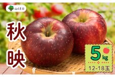 【先行予約】秋映（あきばえ）【約5kg(12〜18玉)】(7-A23-2)