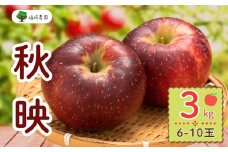 【先行予約】秋映（あきばえ）【約3kg(6〜10玉)】(7-A23-1)