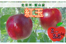 【先行予約】紅玉（こうぎょく）【約2～2.5kg(9〜14玉)】(7-A22)