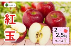 【先行予約】紅玉（こうぎょく）【約2～2.5kg(9〜14玉)】(7-A22)