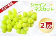 【2025先行予約】シャインマスカット 2房 《2025年9月上旬から出荷》   (7-A21)