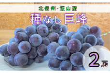 【先行予約】種なし巨峰（2房）(7-A20)