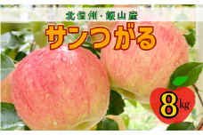 【先行予約】サンつがる【約8ｋｇ(24〜36玉)】(7-A19-3)