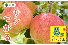 【先行予約】サンつがる【約8kg(24〜36玉)】(7-A19-3)