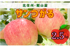 【先行予約】サンつがる【約2.5ｋｇ(6〜9玉)】(7-A19-1)