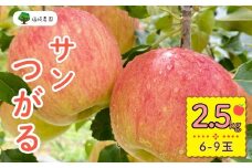 【先行予約】サンつがる【約2.5kg(6〜9玉)】(7-A19-1)
