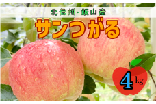 【先行予約】サンつがる【約4ｋｇ(12〜18玉)】(7-A19-2)