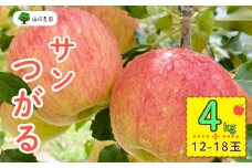 【先行予約】サンつがる【約4kg(12〜18玉)】(7-A19-2)