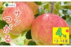 【先行予約】サンつがる【約4kg(12〜18玉)】(7-A19-2)