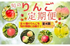 【先行予約】飯山 季節のりんご定期便 全4回（7-A28）